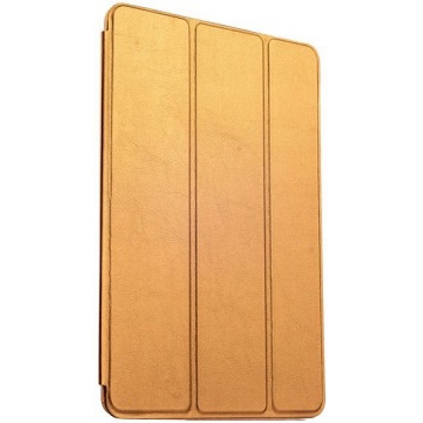 Кожаный кейс iPad Pro 10.5 Gold